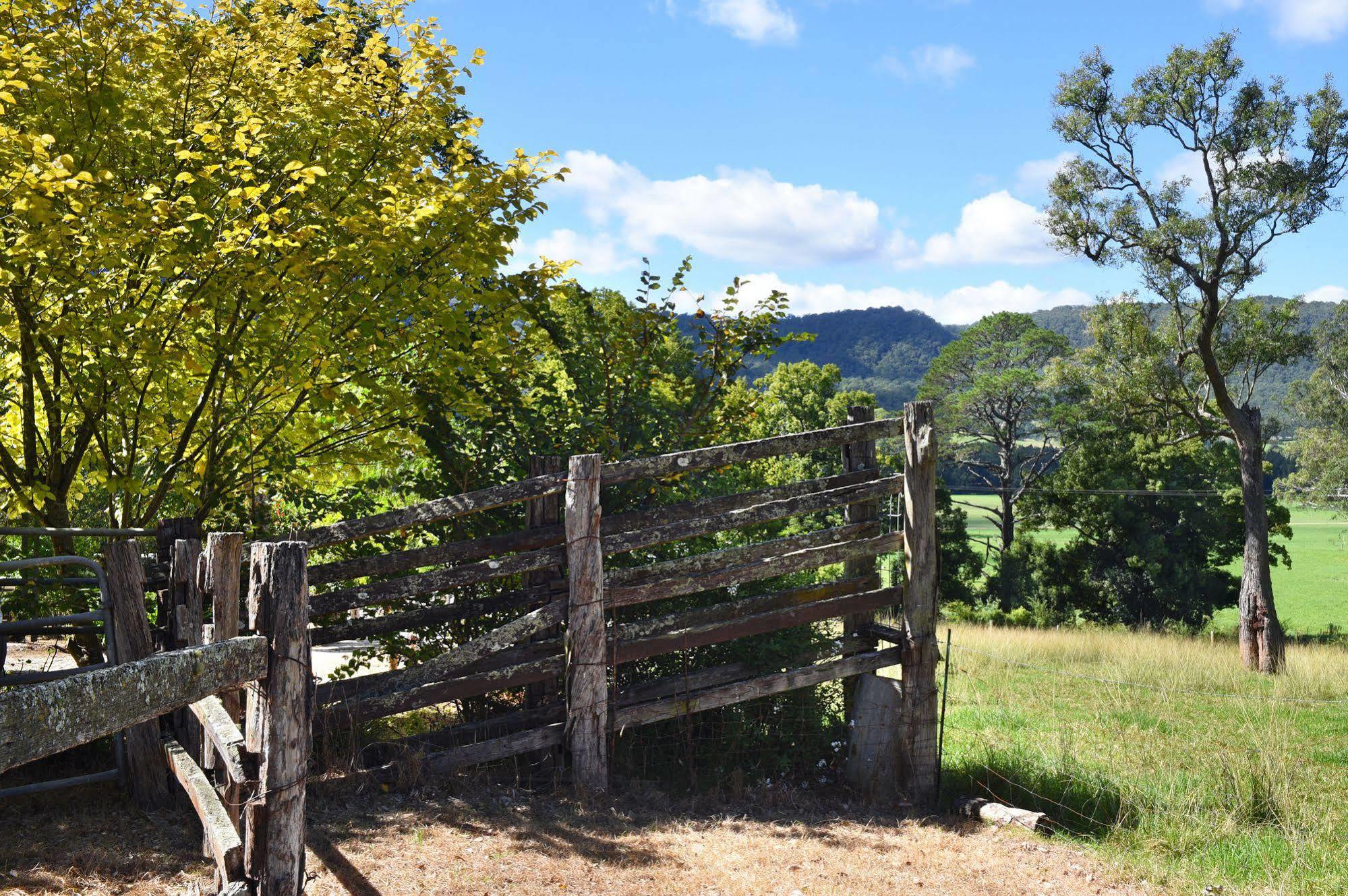 The Laurels B&B Kangaroo Valley Exterior photo